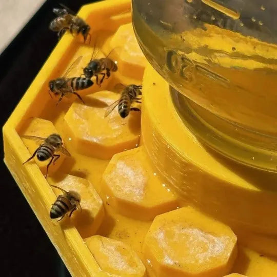 BowLift | HiveDrink Hydrates Pollinator Life