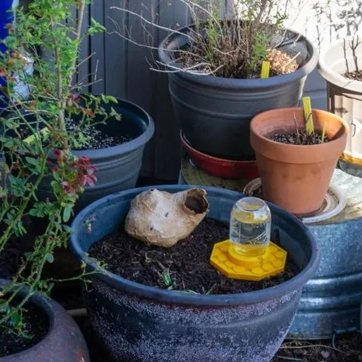 BowLift | HiveDrink Hydrates Pollinator Life