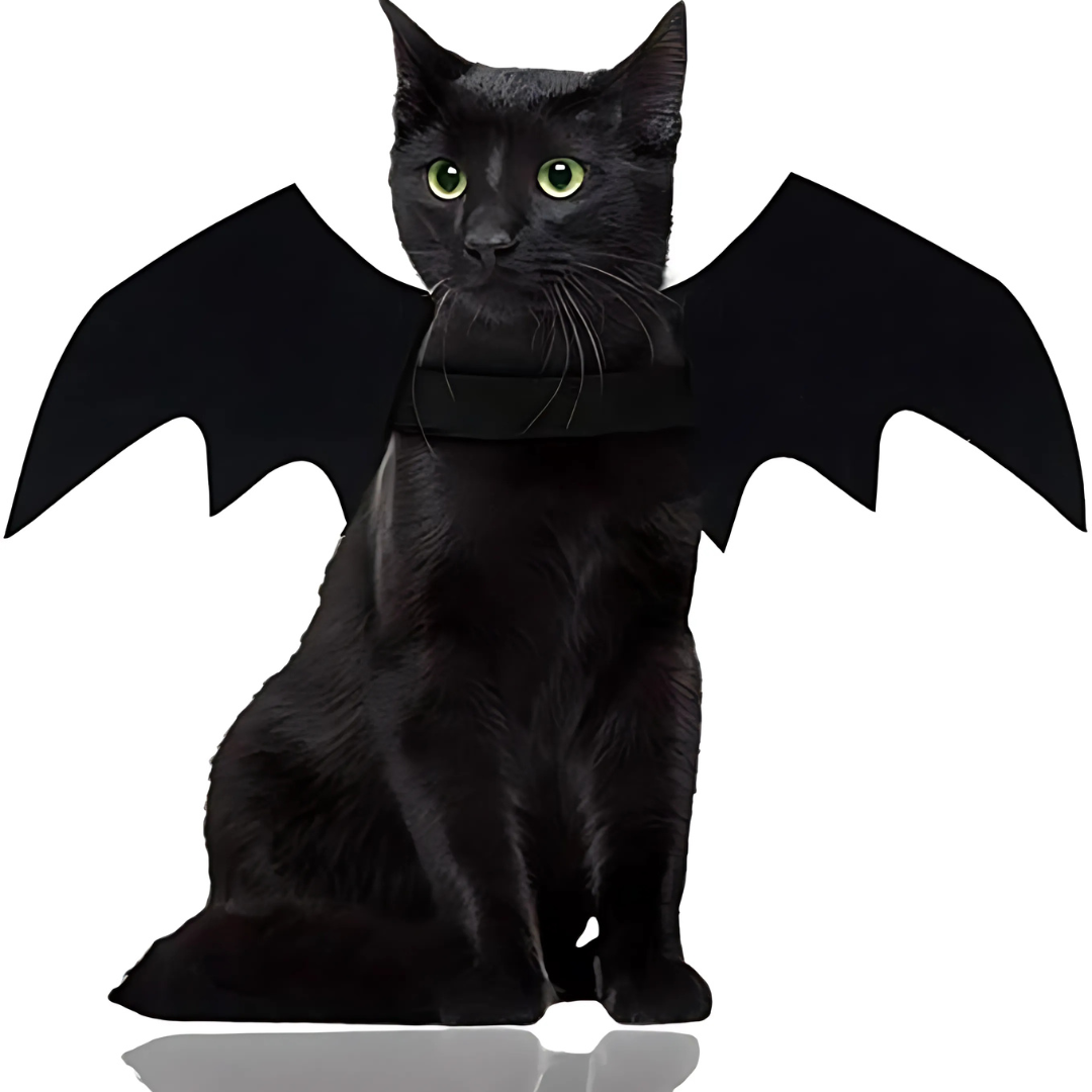 BowLift | Spooky Halloween Pets Bat Wings