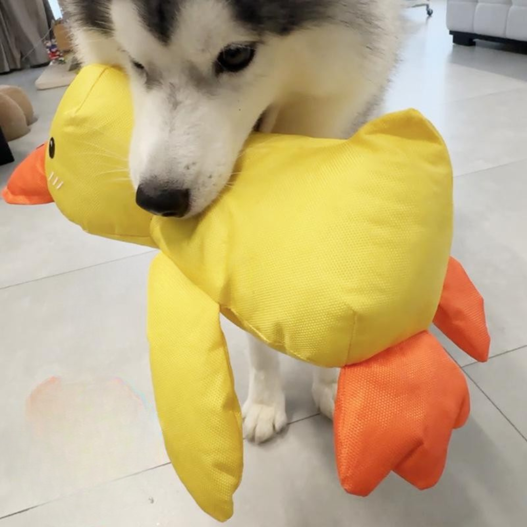 BowLift | Dog Chew Toy Tough Fabric Durable