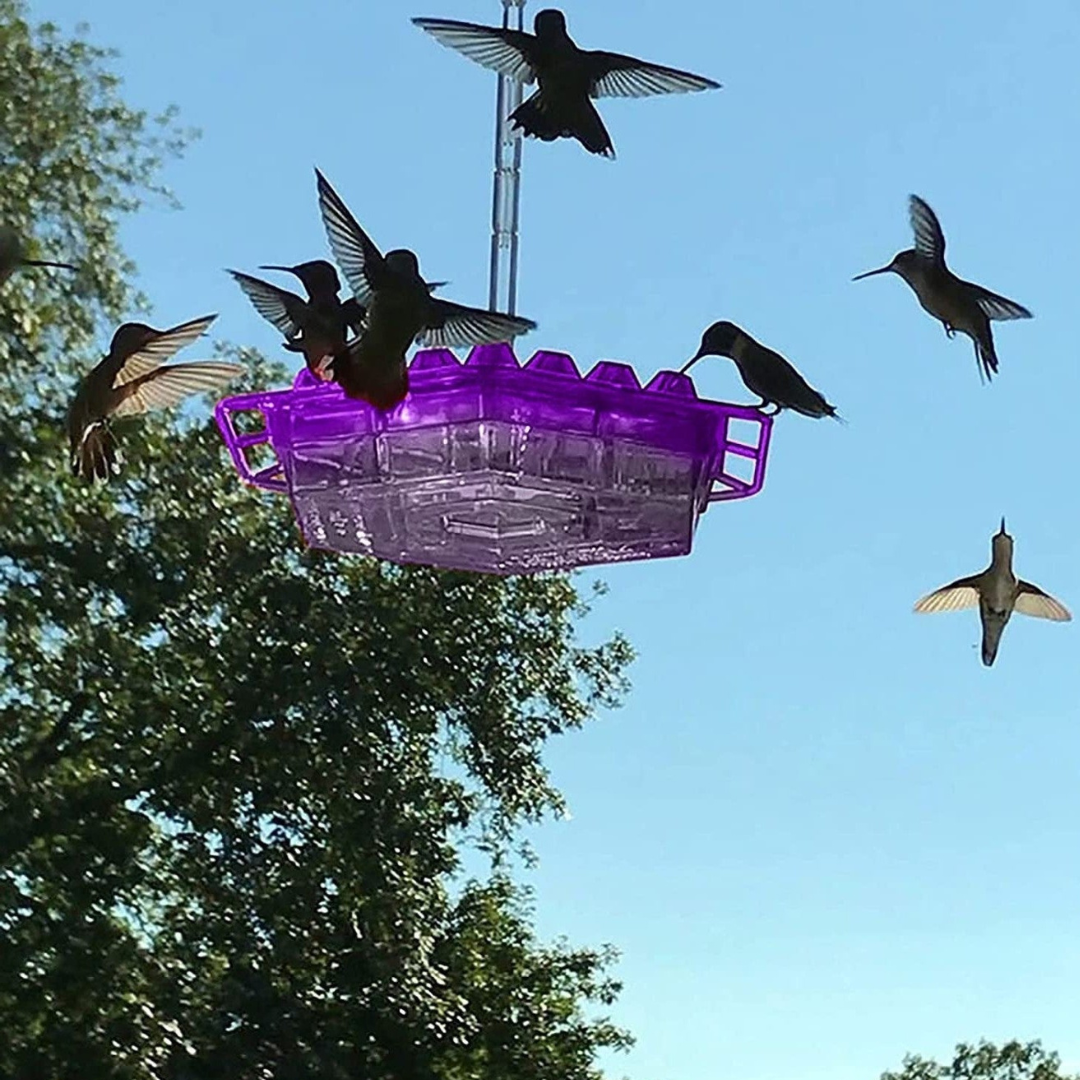 BowLift | Garden Hanging Hummingbird Feeder