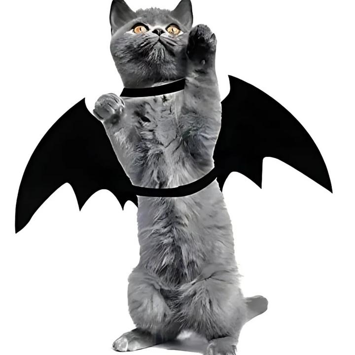 BowLift | Spooky Halloween Pets Bat Wings