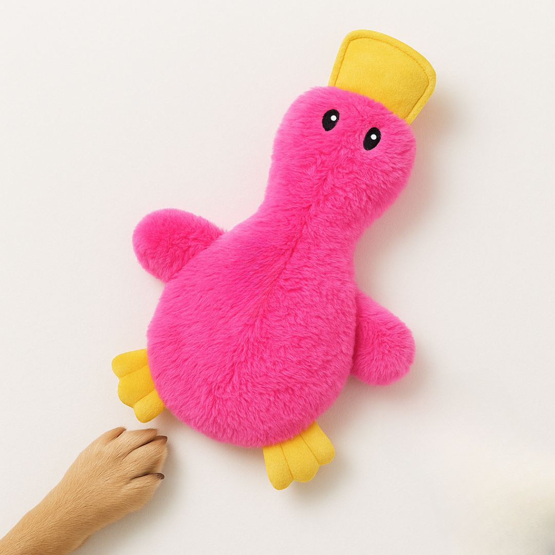 BowLift | Dog Chew Toy Plush Duck with Squeaker