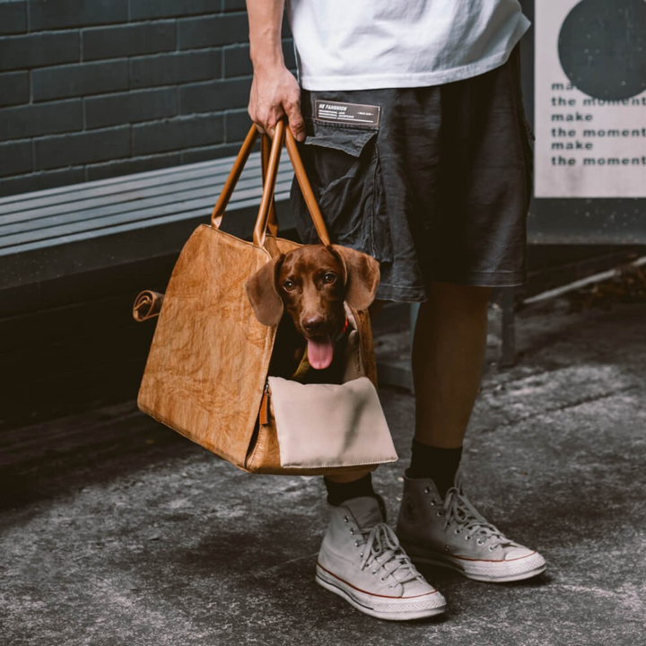 BowLift | Pet Travel Bag Car Seat Carrier Eco Friendly