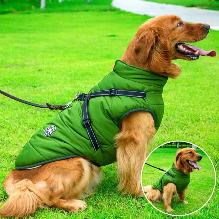 BowLift | Waterproof Winter Dog Jacket