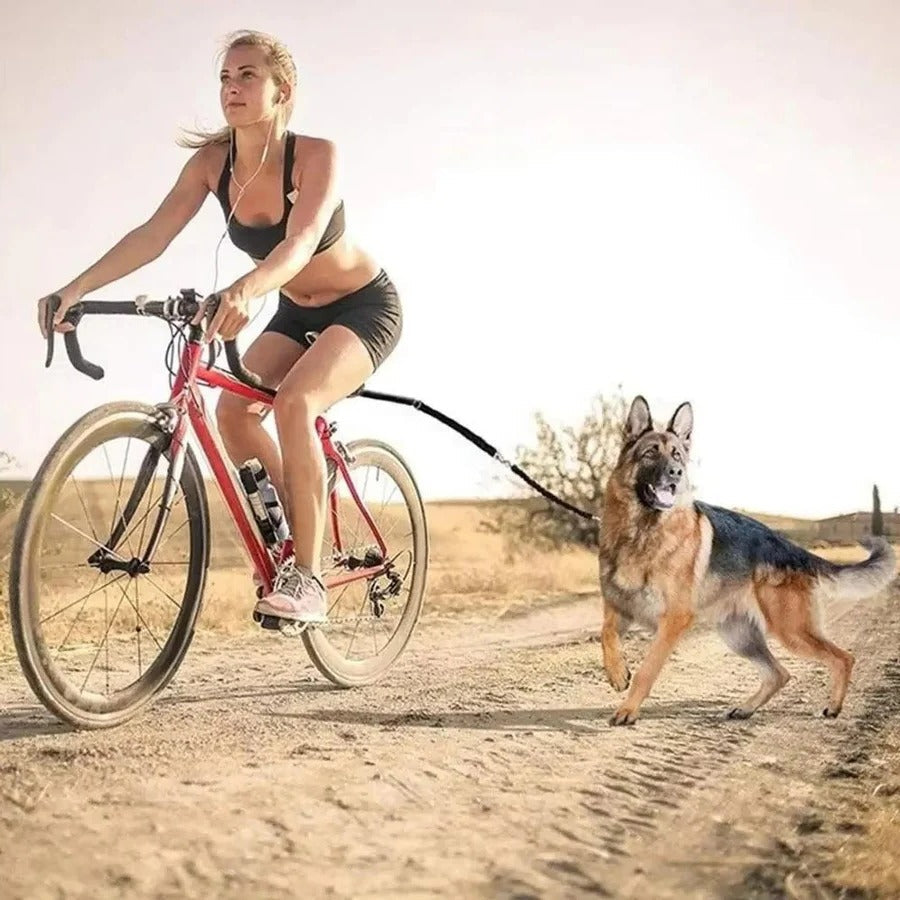 BowLift | Bike Dog Tow Leash
