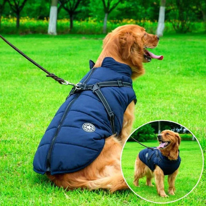 BowLift | Waterproof Winter Dog Jacket