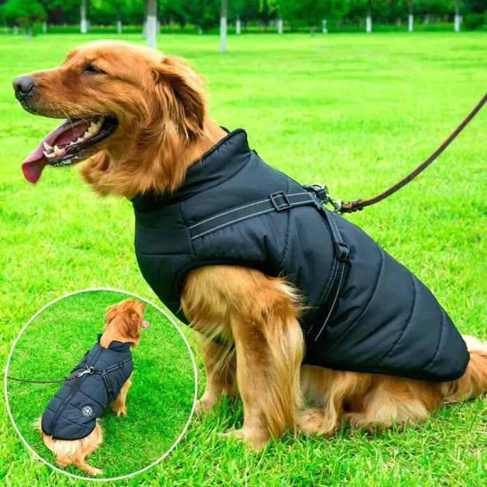 BowLift | Waterproof Winter Dog Jacket