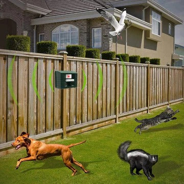 BowLift | Woodpecker Ultrasonic Repeller for Effective Bird Control - Free Yourself from Woodpeckers