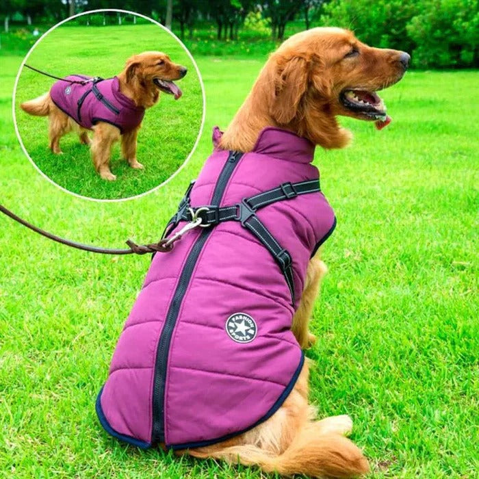 BowLift | Waterproof Winter Dog Jacket