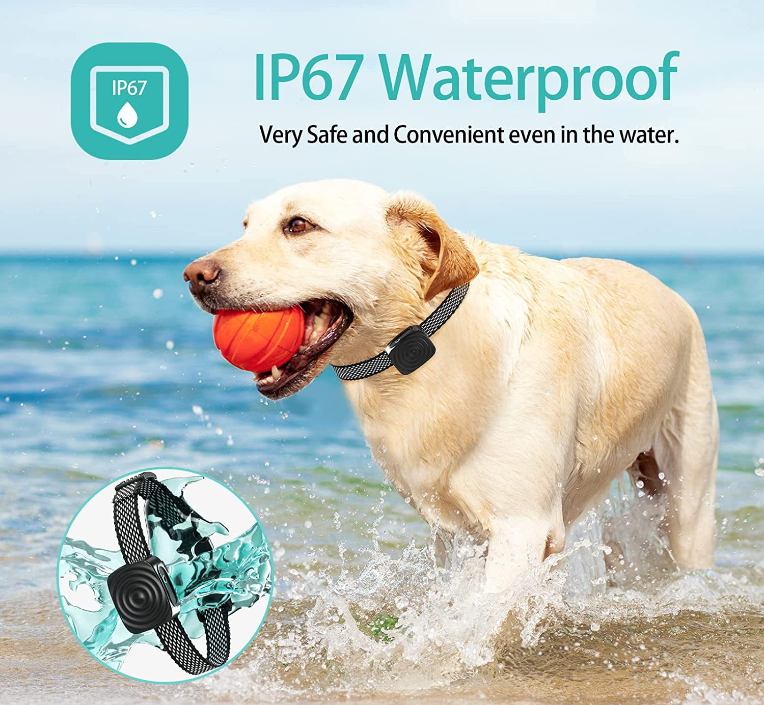 BowLift | Dog Collar Anti Bark for Small Dogs