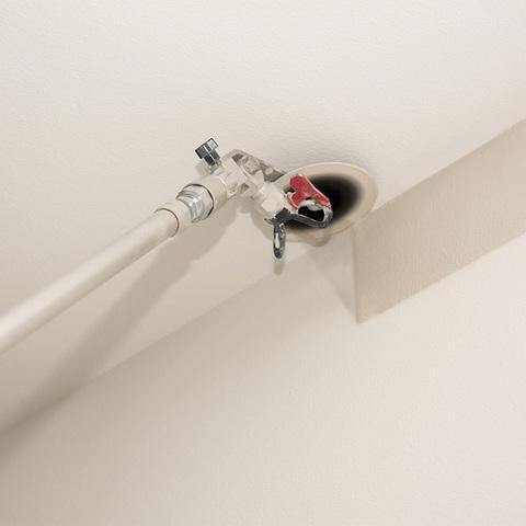BowLift | QuickEdge Paint Pro Tool