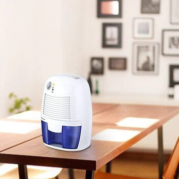Powerful Portable Mini Basement Garage Crawl Space Home Dehumidifier | Bowlift