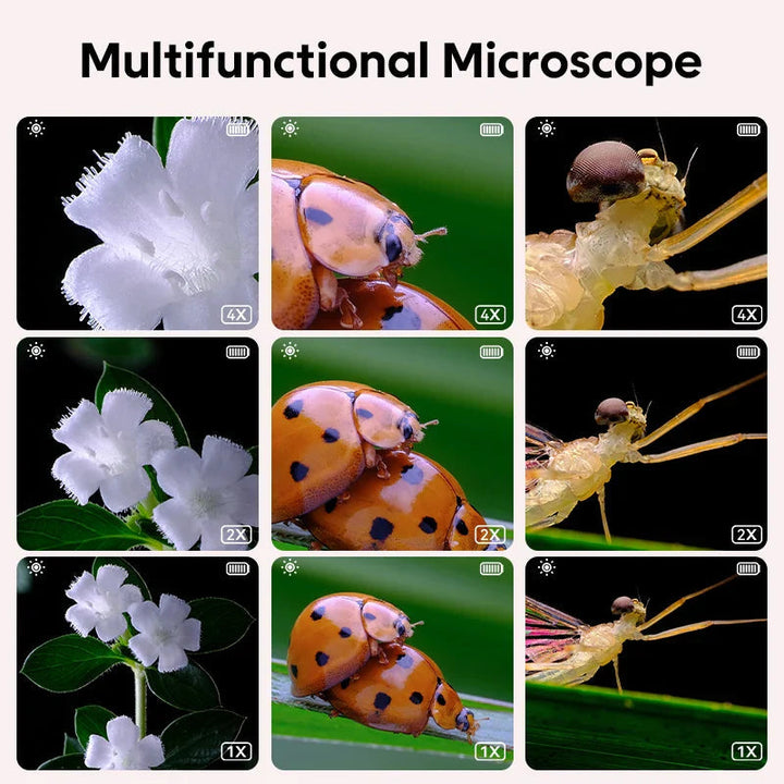 BowLift | Explorer Microscope - Science Up Close