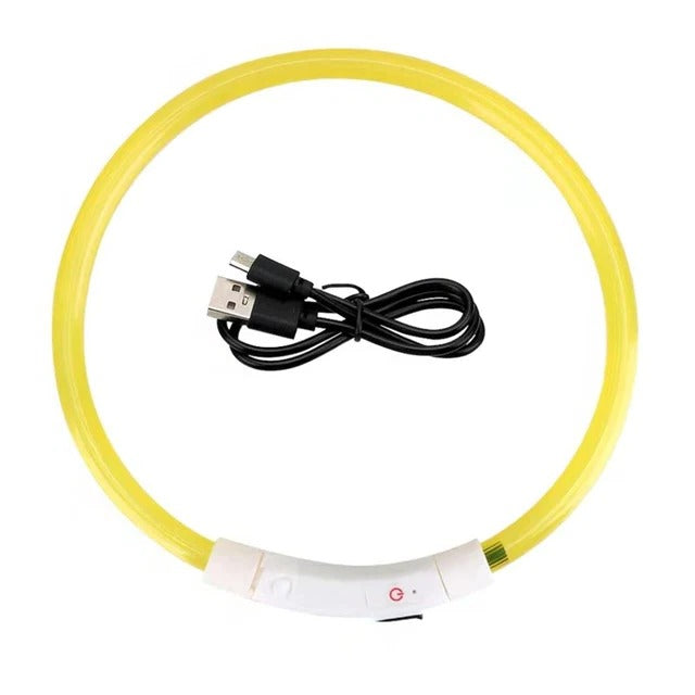 BowLift | Light Up Dog Collar, USB Rechargeable LED Glowing Collar