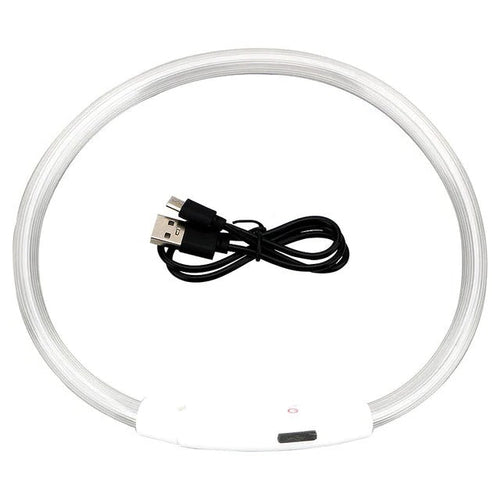 BowLift | Light Up Dog Collar, USB Rechargeable LED Glowing Collar