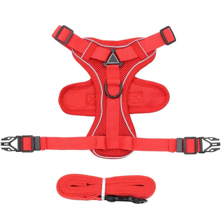 BowLift | Reflective Cat Harness and Leash Set