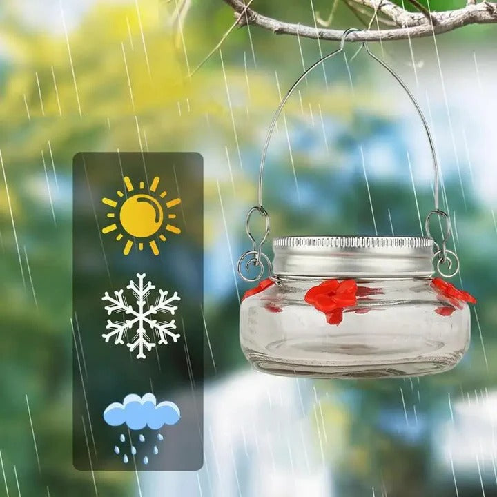 BowLift | Clear Flower Port Hummingbird Feeder