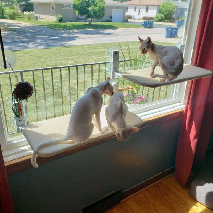 BowLift | PAWPERCH – Foldable Window Hammock for Cats with View & Comfort