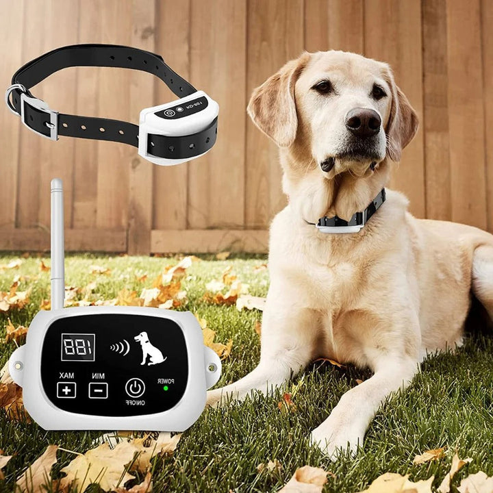 BowLift | Wireless Invisible Underground Electric Dog Training Wire Fence Set