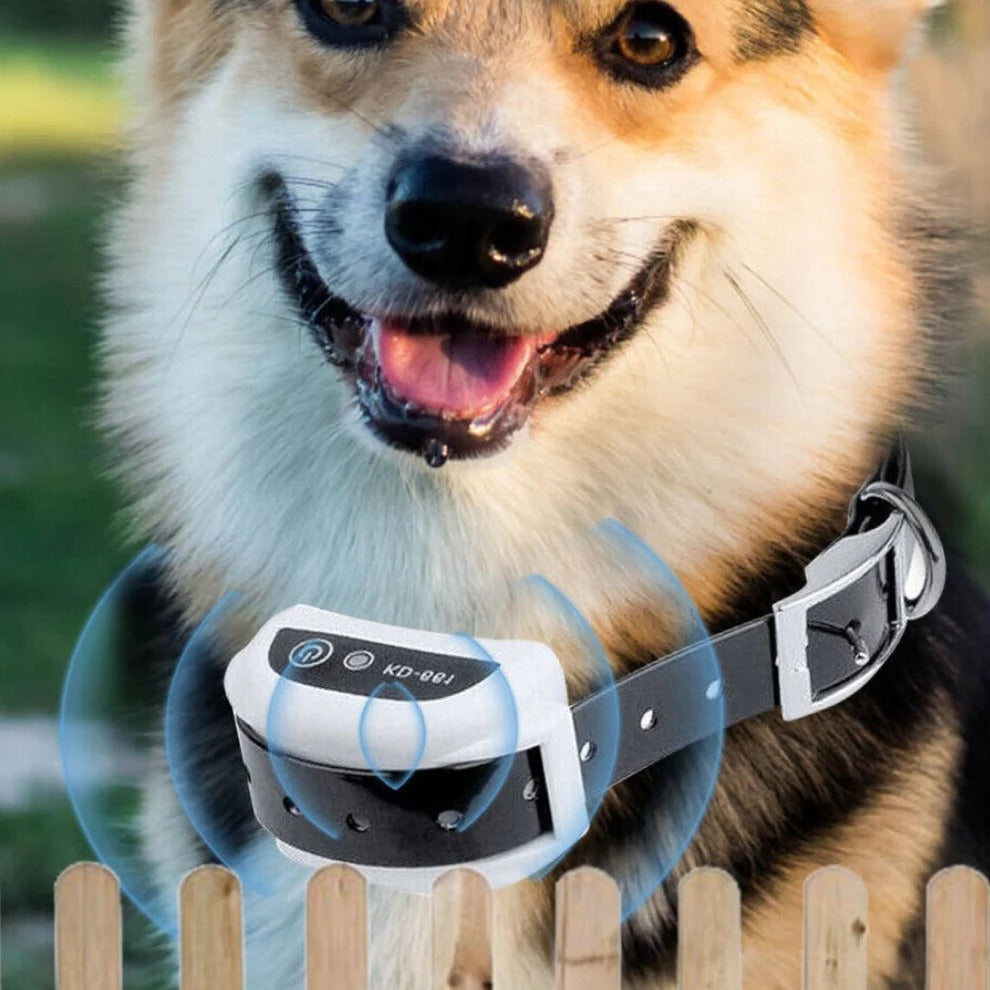 BowLift | Wireless Invisible Underground Electric Dog Training Wire Fence Set