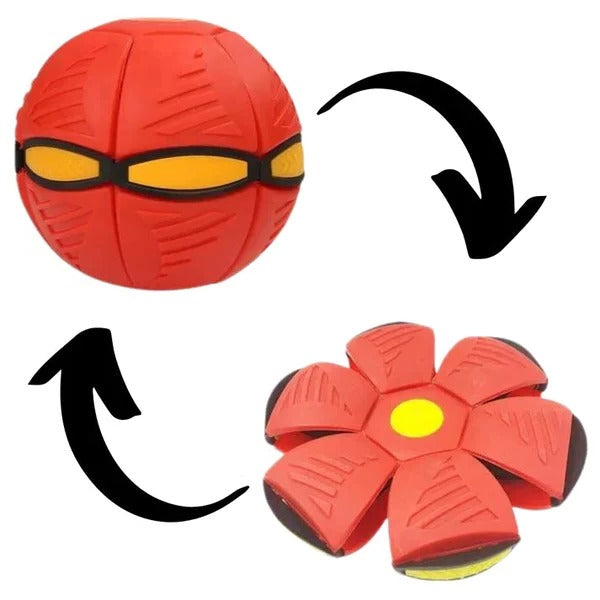 BowLift | Interactive Doggy Disc Ball