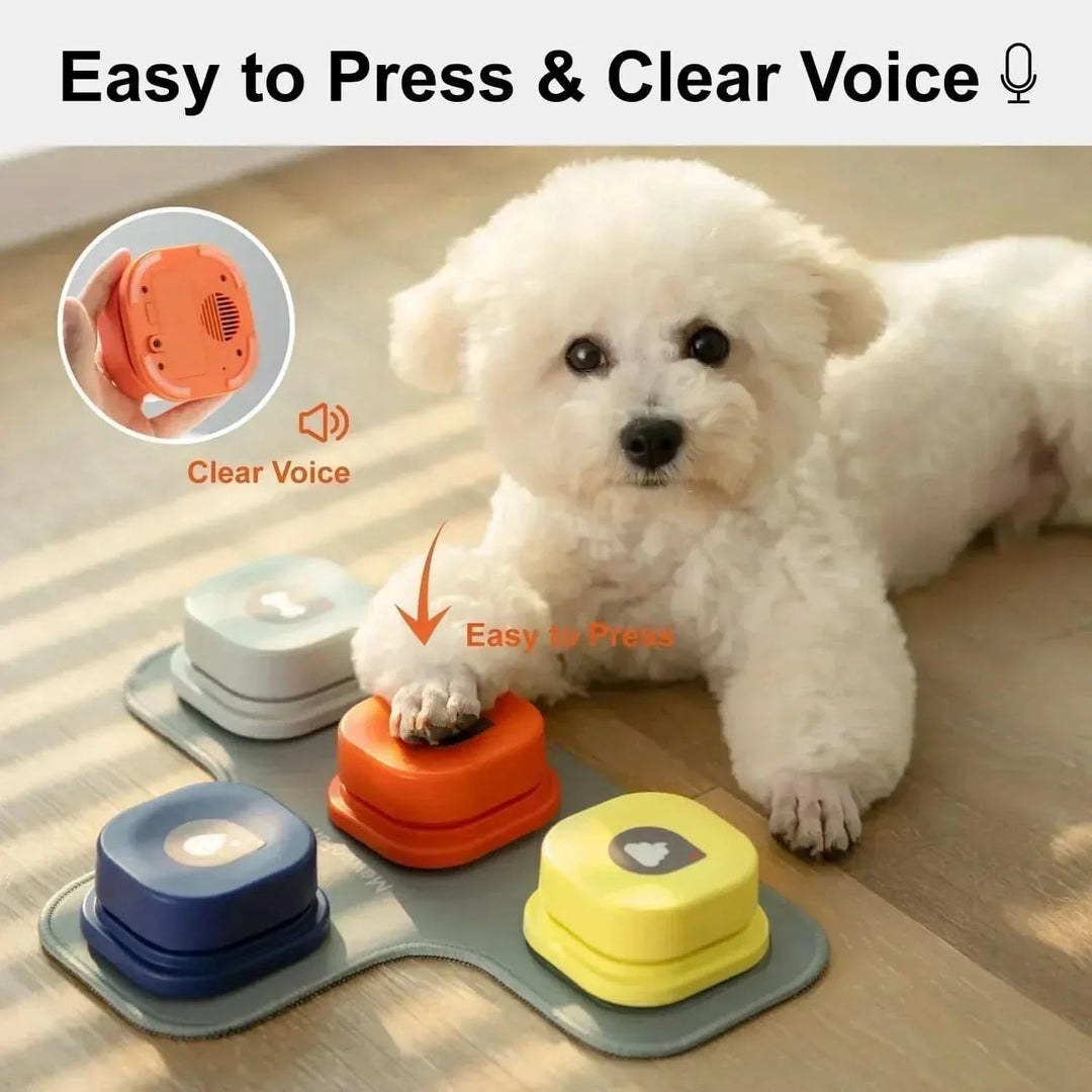 BowLift | Interactive Speech Buttons for Playful Dog Communication