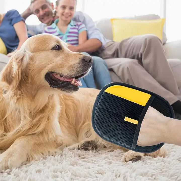 PurrBrush Care Glove – Hair-Free Pet Care and Massage Moment | Bowlift