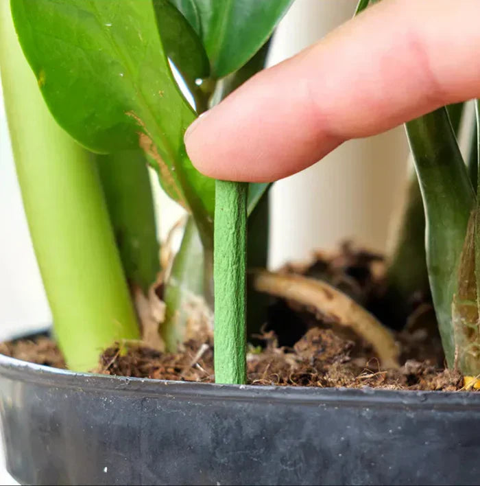 Long-lasting Fertilizer for Easy and Sustainable Plant Care Bowlift