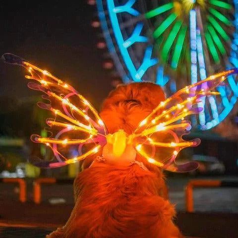 BowLift | Electric Colorful Kids / Adults LED Fairy Wings Costume