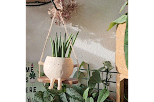 GreenOasis - Elegant Hanging Plant Basket for a Tranquil Atmosphere Bowlift