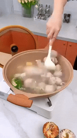 BowLift | VEGA - UltraSmart Wok Pro with Steamer Basket