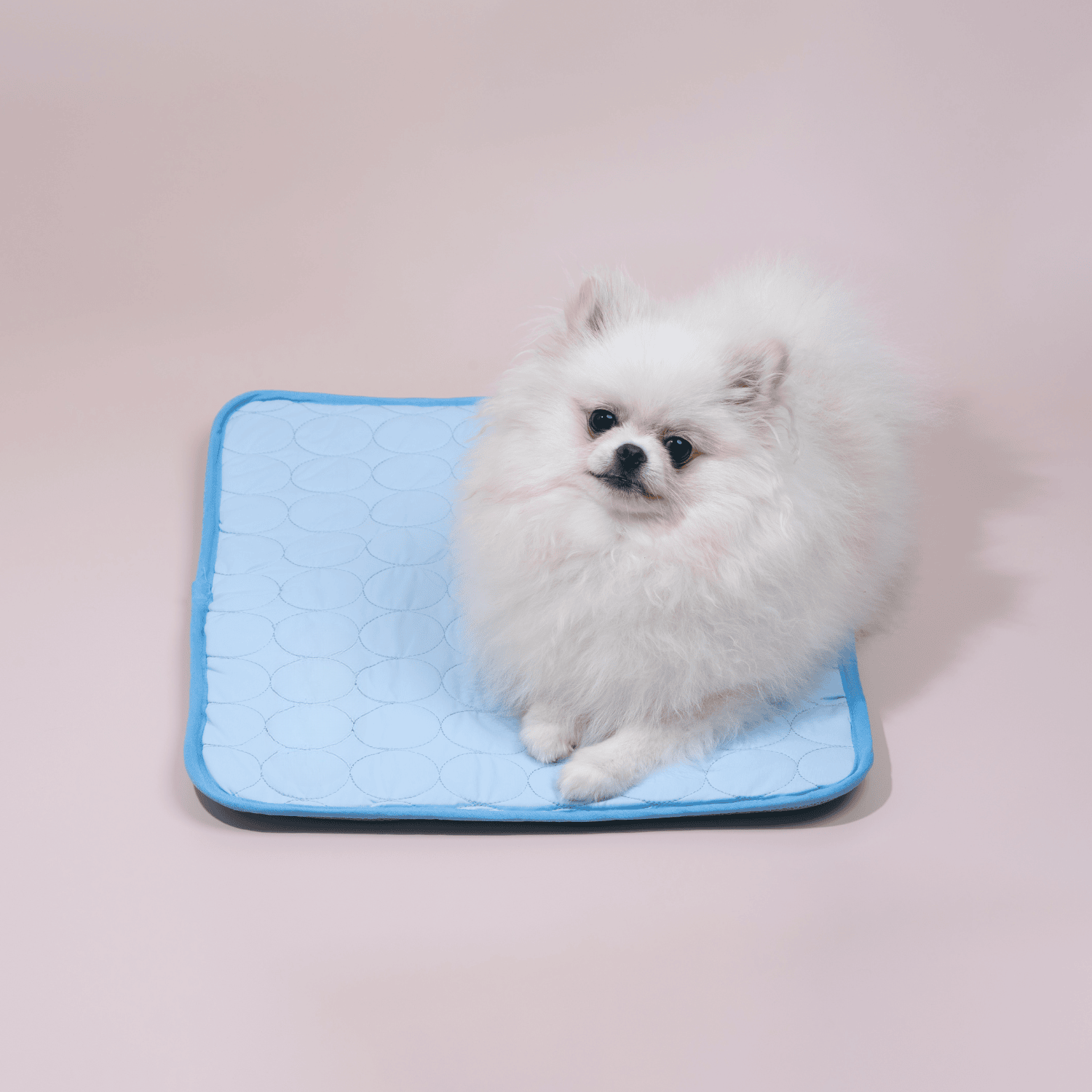 BowLift | Innovative Cooling Mat for Dogs (4x Cooling Power) - ChillComfort