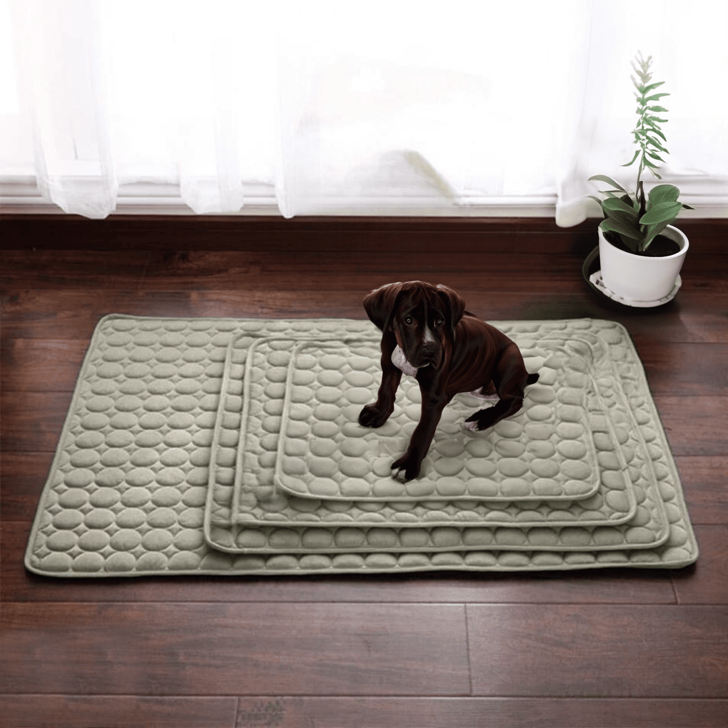BowLift | Innovative Cooling Mat for Dogs (4x Cooling Power) - ChillComfort