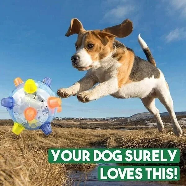 BowLift | Dog Toy LED Bouncing Interactive Ball Rubber