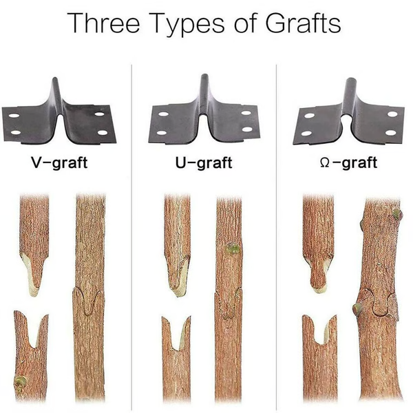 BowLift | Professional Grafting & Pruning Tool
