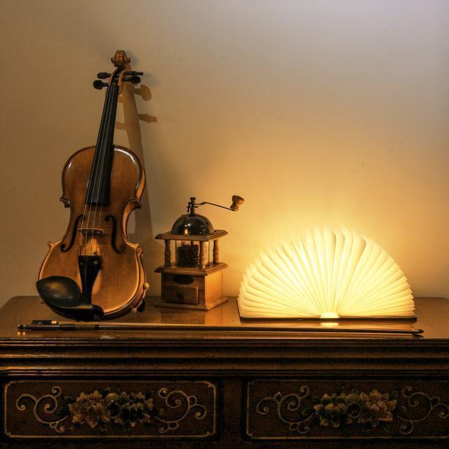 BowLift | Wood Book LED Lamp