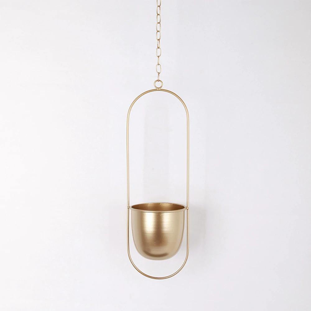 HaloRing Hanging Plant Holder – Metal Hanging Planter for Indoor and Outdoor | Bowlift