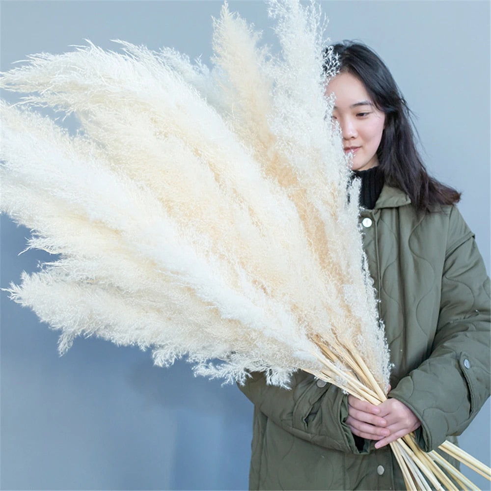 BowLift | FeatherFawn - Dried Pampas Flowers