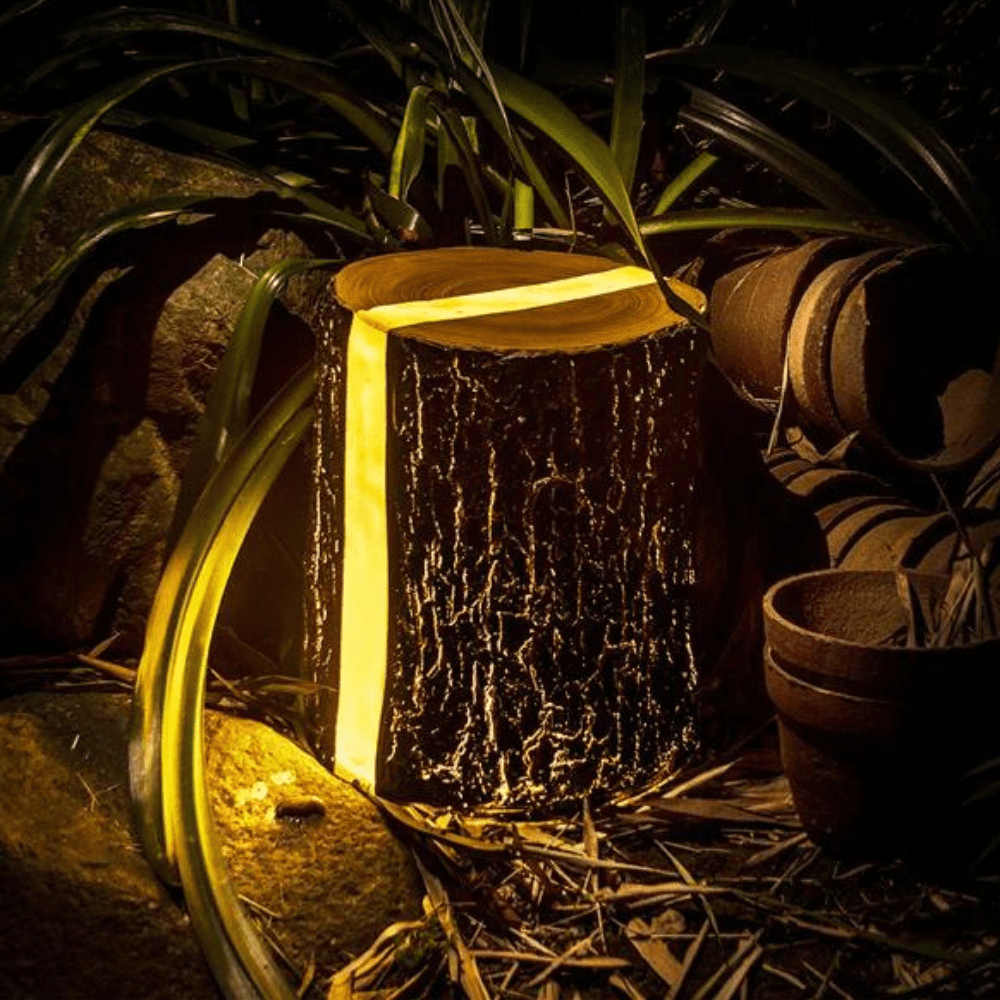BowLift | Natural Glow for Magical Evenings