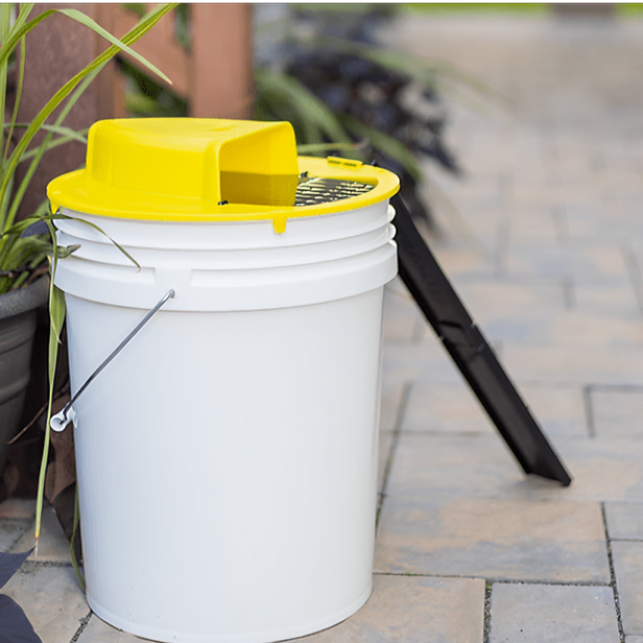 BowLift | Smart Flip Trap | Automatic Catch Rodent Trap for Home