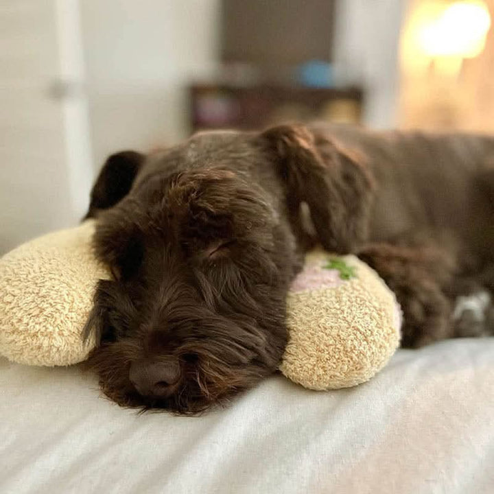 BowLift | Orthopaedic dog cushion against stress & anxiety