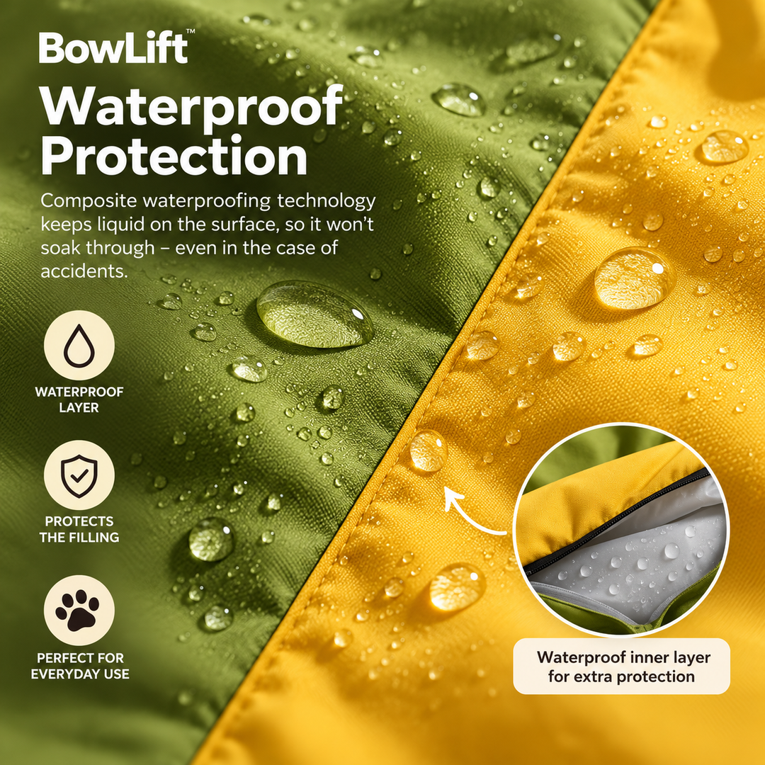 BowLift | Cozy Hideaway Cat Bed