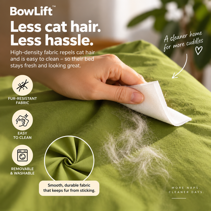 BowLift | Cozy Hideaway Cat Bed