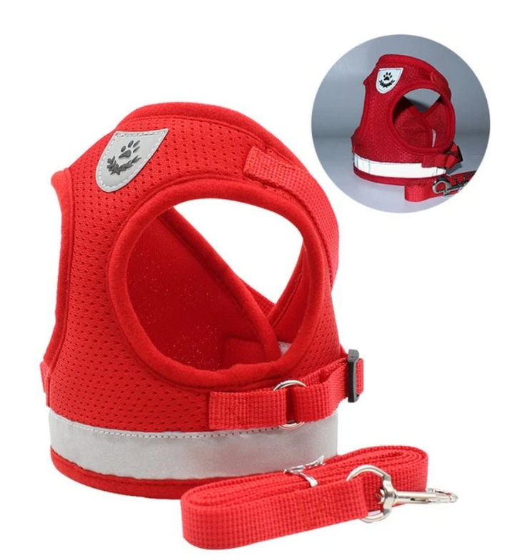 AdventureKit - Safe Harness for Adventurous Cats Bowlift