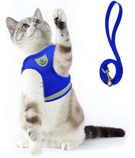 AdventureKit - Safe Harness for Adventurous Cats Bowlift
