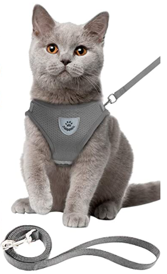 AdventureKit - Safe Harness for Adventurous Cats Bowlift
