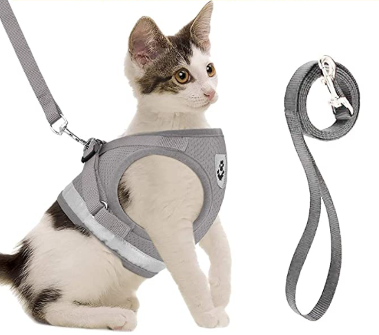 AdventureKit - Safe Harness for Adventurous Cats Bowlift