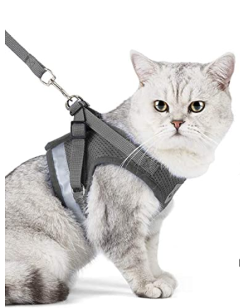 AdventureKit - Safe Harness for Adventurous Cats Bowlift