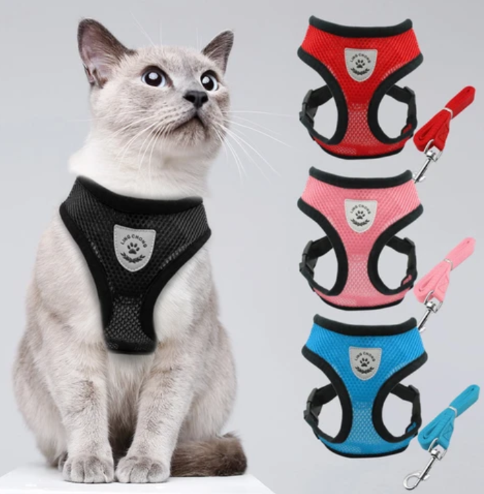 AdventureKit - Safe Harness for Adventurous Cats Bowlift